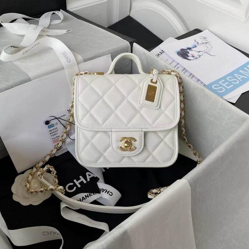 Chanel Handbags 226